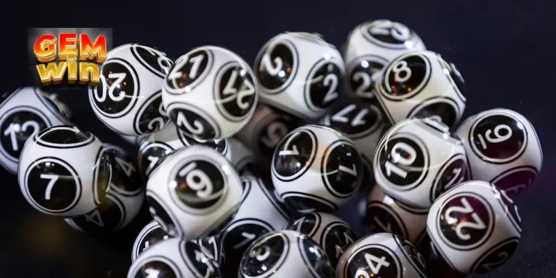 Bạch thủ lô là gì?